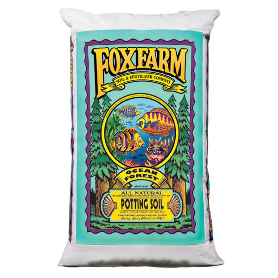 Best Organic Fertilizers For Your Home Oasis