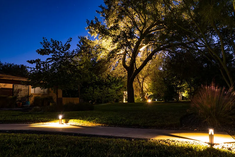 Front yard walkway and tree LED lighting