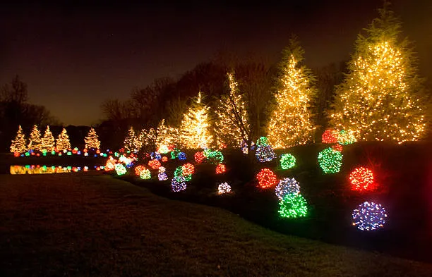multicolored LED lighting on backyard vegetation