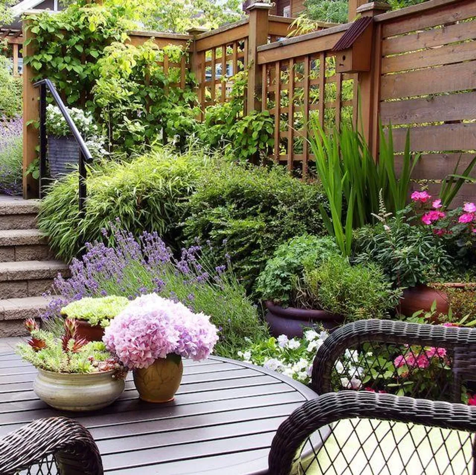 The Best 20 Outdoor Plants That Require Little Water