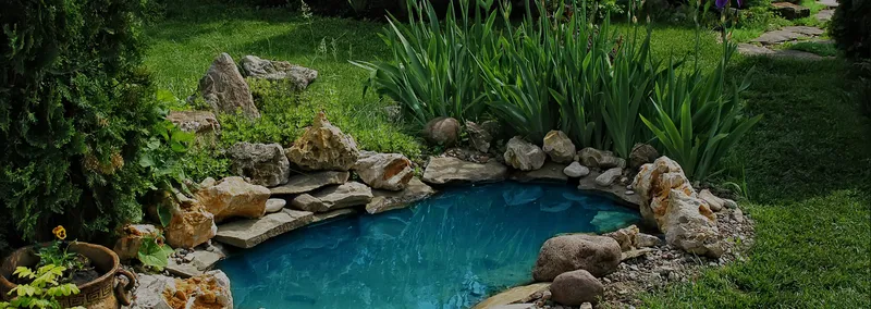 Lush planted garden around a backyard pond