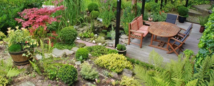 table-plant-lawn-flower-pond-cottage