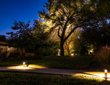 Front yard walkway and tree LED lighting