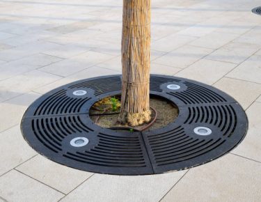 LED lamps to illuminate a tree trunk.